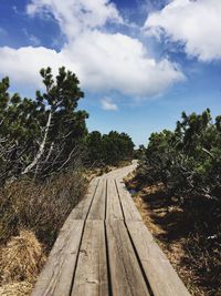 Dirt road amidst trees against sky