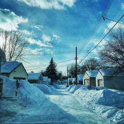 Houses and trees against sky during winter