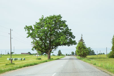 Road amidst trees on field against sky