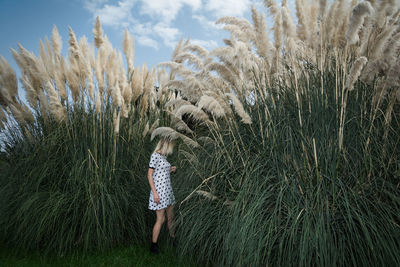 Woman standing amidst grass on field