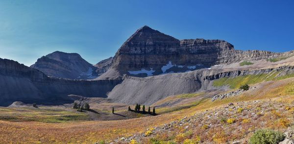 Timpanogos hiking trail landscape views in uinta wasatch cache national forest utah