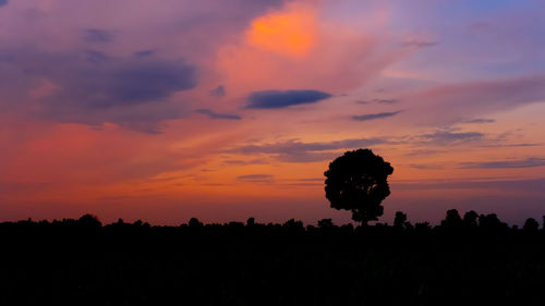 Silhouette trees on field against orange sky