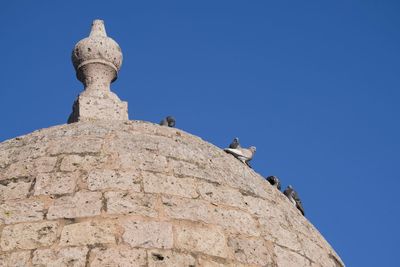 Low angle view of bird on rock against clear blue sky