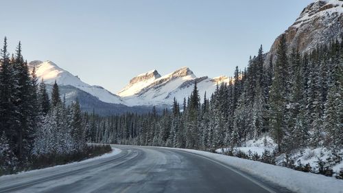 Road amidst trees and snowcapped mountains against sky