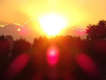 Scenic view of sun shining through trees during sunset