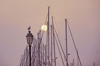 Low angle view of sailboat against sky during sunset