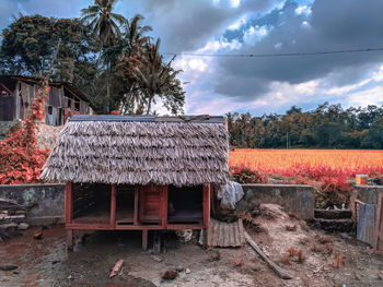 Abandoned house by trees against sky