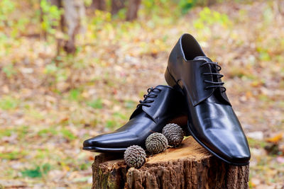 Shoes on tree stump over field