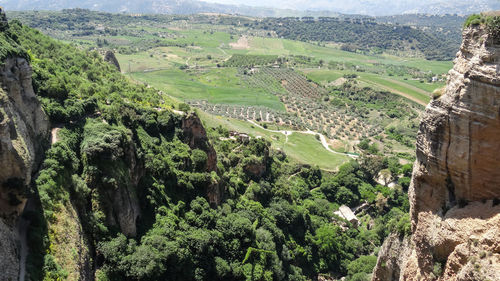 High angle view of trees on landscape