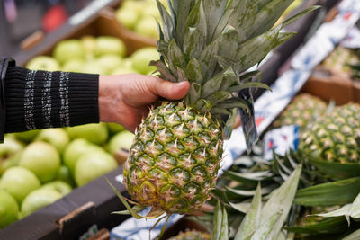 Close-up of pineapple