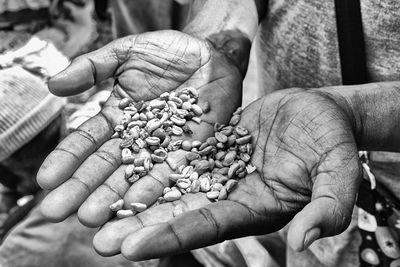 Cropped hands holding wheat grains