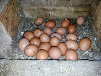 Close-up of eggs