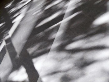 Close-up of shadow of tree