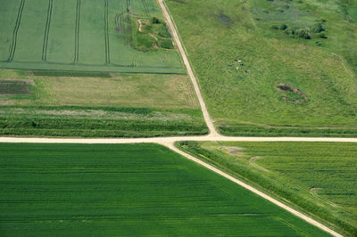 High angle view of agricultural field