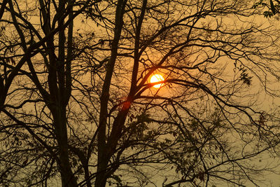 Low angle view of silhouette bare trees against sky during sunset