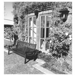 Empty chair in backyard