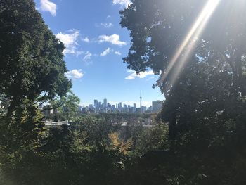 High angle view of trees in city against sky