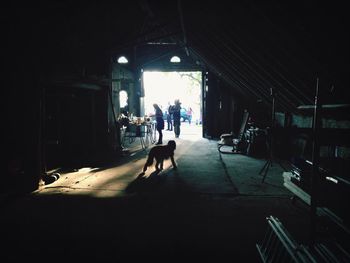 Man with dog in tunnel