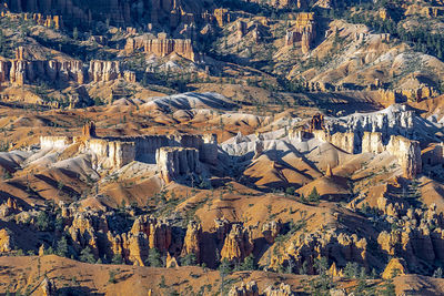 Scenic view to the hoodoos in the bryce canyon national park, utah, usa