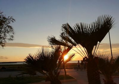 Silhouette palm trees on beach against sky during sunset