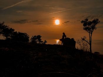 Silhouette plants on land against sky during sunset