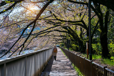 Rear view of woman walking on footbridge