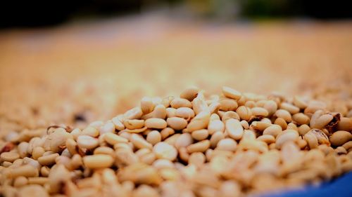 Close-up of roasted coffee beans