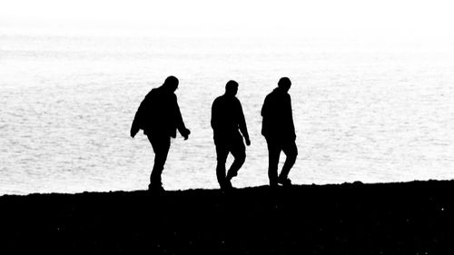 Silhouette people walking on beach