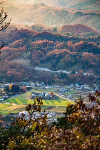 Aerial view of tree mountains