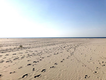 Scenic view of beach against clear sky
