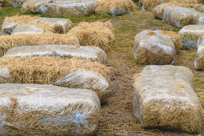 Seats and tables made from straw bales for event and party laid on lawn yard. 