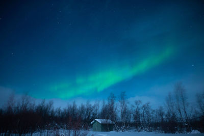 Scenic view of snow covered trees against sky at night