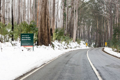 Road amidst trees in forest during winter