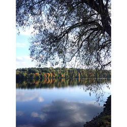 Reflection of trees in lake against sky