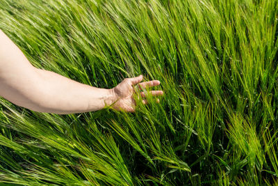 Low section of woman on grass