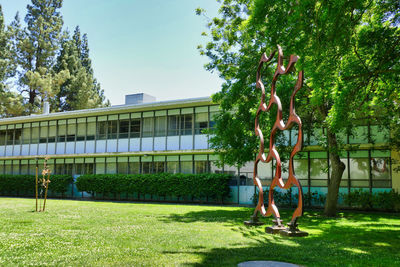 People on field against trees and plants