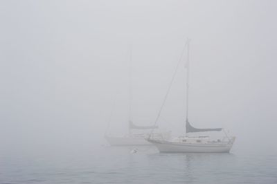 Sailboat sailing on sea against sky