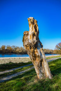 Driftwood on land against clear blue sky