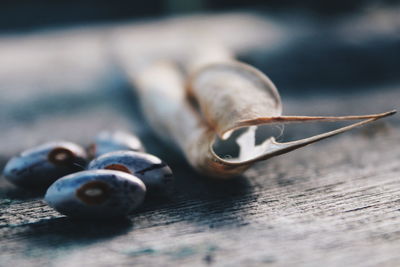 Close-up of beans on wooden table