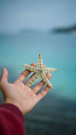 Starfish in my hand