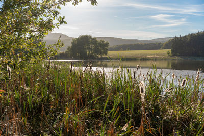 Scenic view of lake against sky