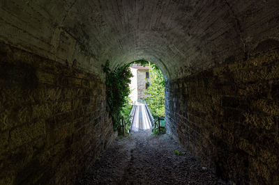 Plants in old tunnel