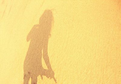 Shadow of people on wall