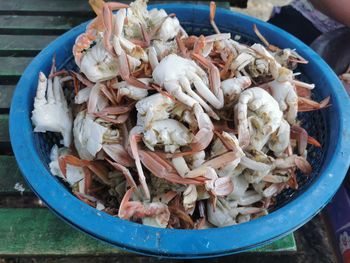 High angle view of fish in container