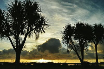 Silhouette of palm trees against cloudy sky