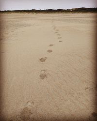 High angle view of footprints on sand at beach