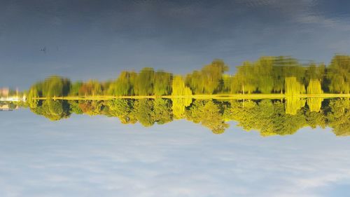 Reflection of trees in calm lake