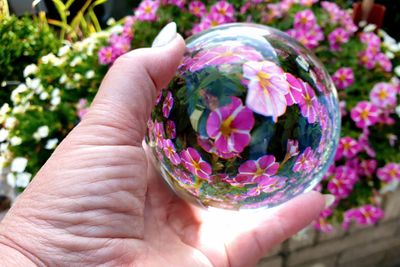 Close-up of hand holding crystal ball against pink flowers