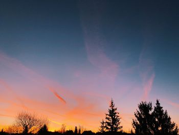 Low angle view of silhouette trees against sky at sunset