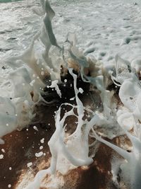 High angle view of drinking water on beach